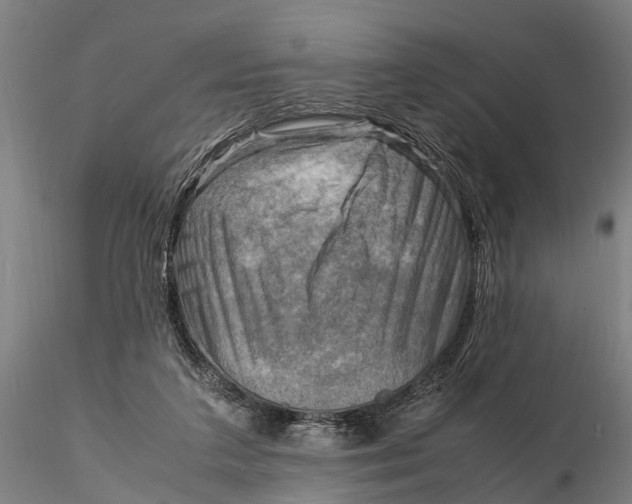 X0000116140211200912141141