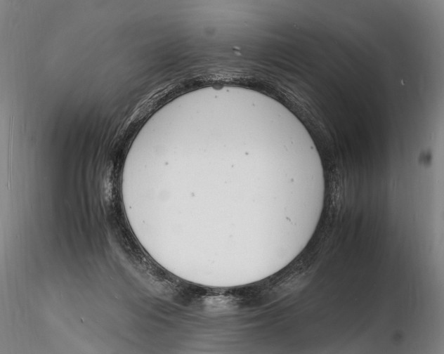 X0000116140216200912141141