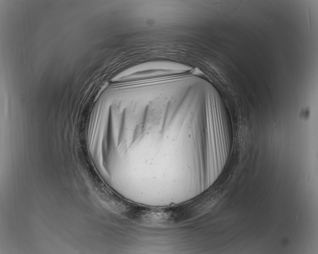 X0000116140217200912141141