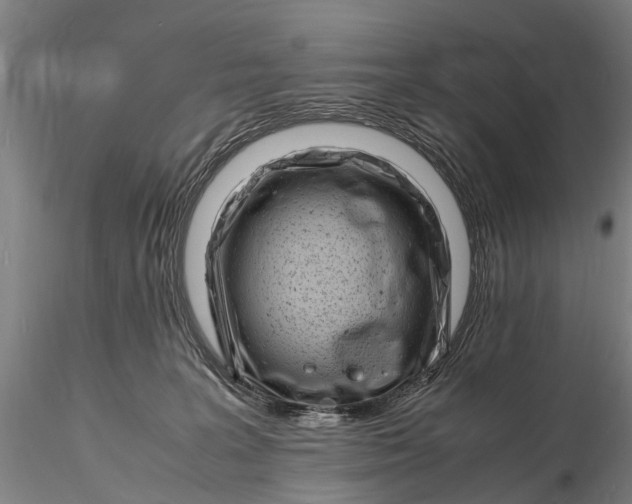 X0000116140227200912141140