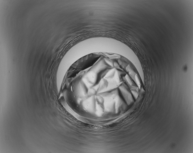 X0000116140229200912141140