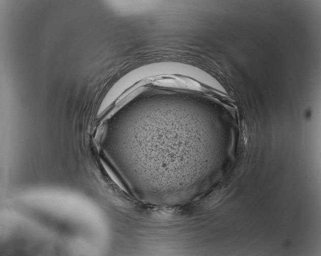 X0000116140235200912141140