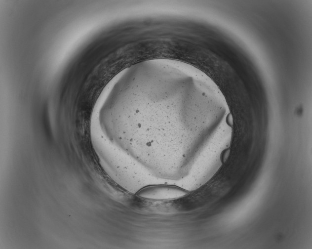 X0000116140239200912141140