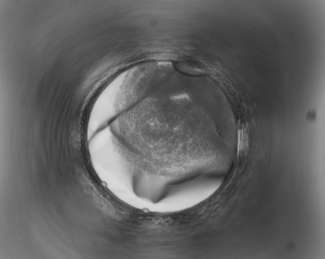 X0000116140243200912141139