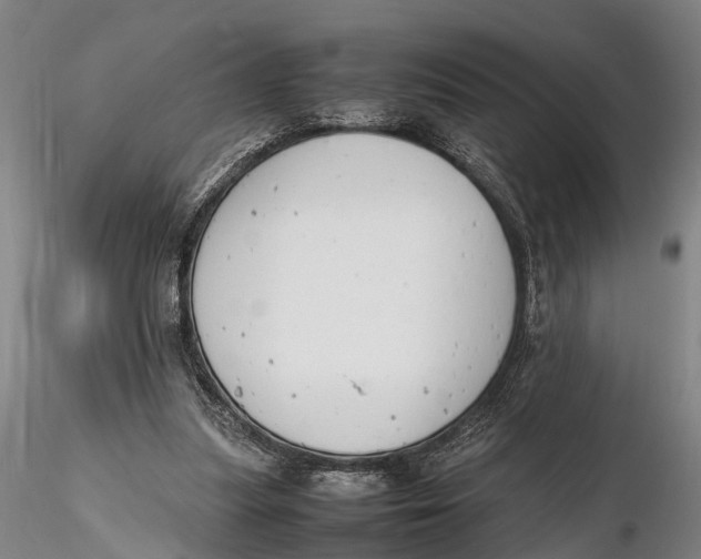 X0000116140251200912141139