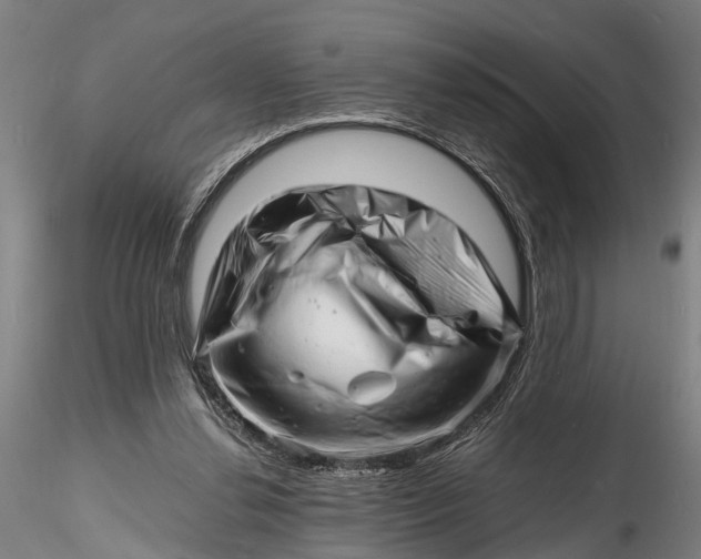 X0000116140252200912141139