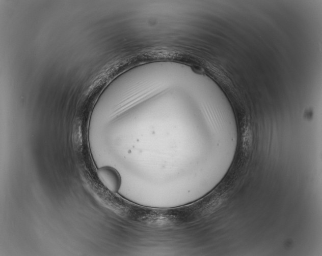 X0000116140254200912141139