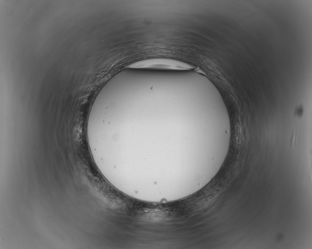 X0000116140259200912141139