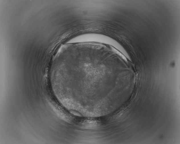 X0000116140260200912141139