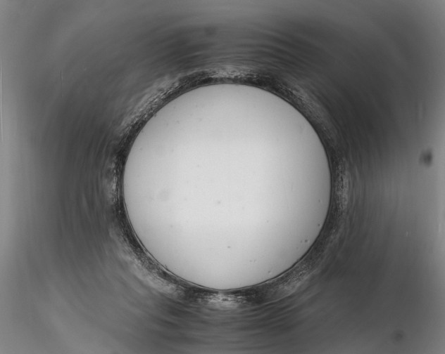 X0000116140261200912141139