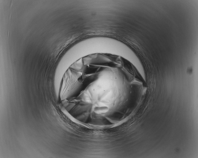 X0000116140264200912141140