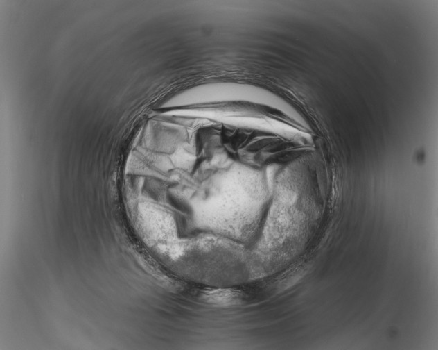 X0000116140269200912141140