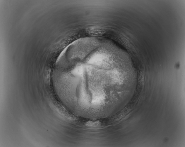 X0000116140271200912141140