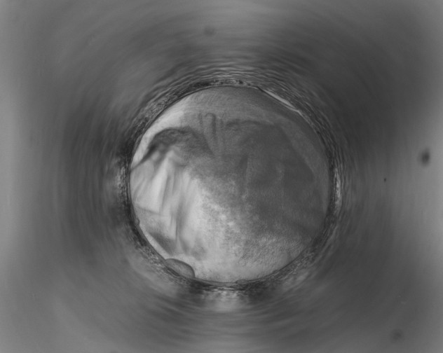 X0000116140276200912141140