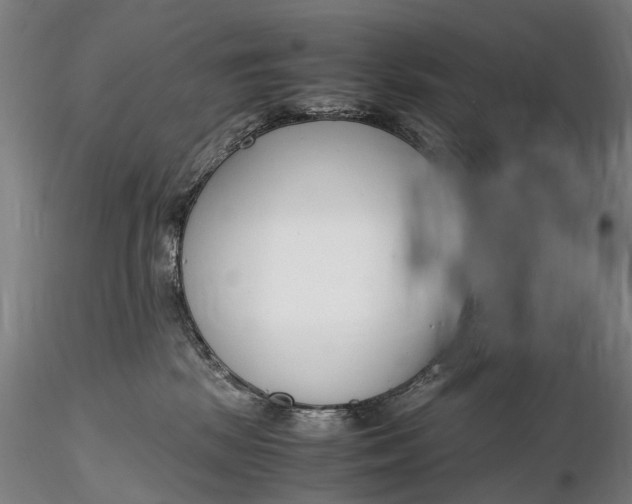 X0000116140281200912141140