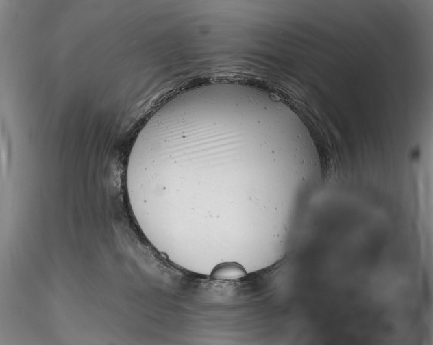 X0000116140282200912141140