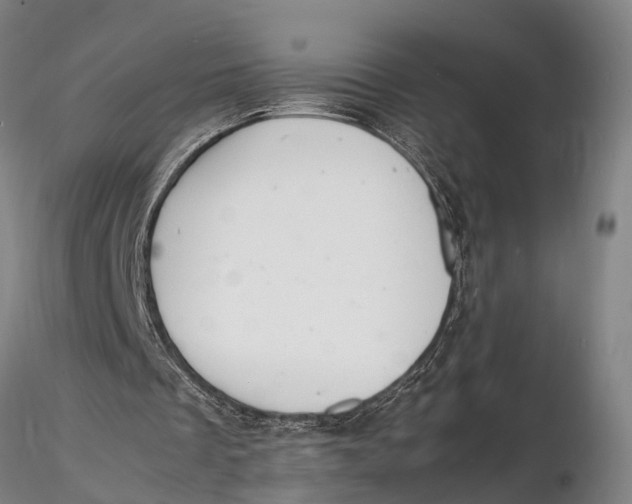 X0000116140289200912141139