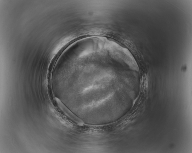 X0000116140292200912141139