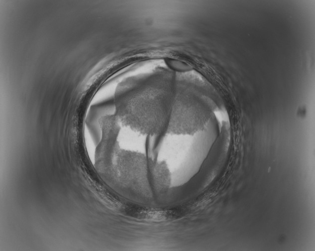 X0000116140295200912141139