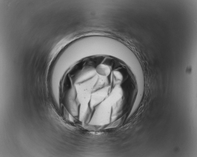 X0000116140296200912141139