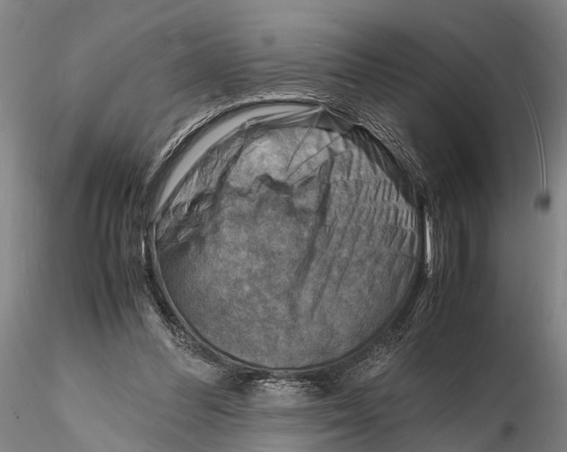 X0000116140300200912141139