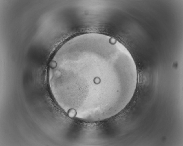 X0000116140301200912141139