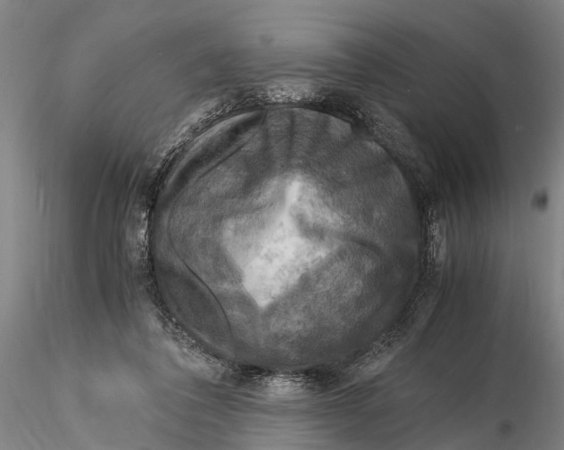 X0000116140308200912141139