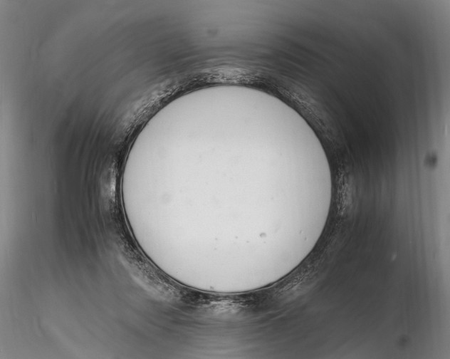 X0000116140310200912141139