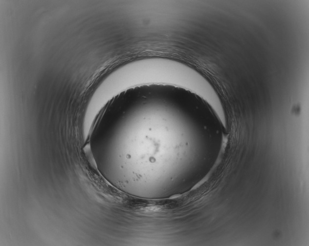 X0000116140312200912141139