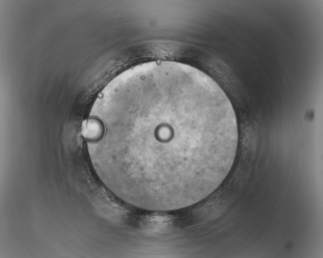 X0000116140313200912141139