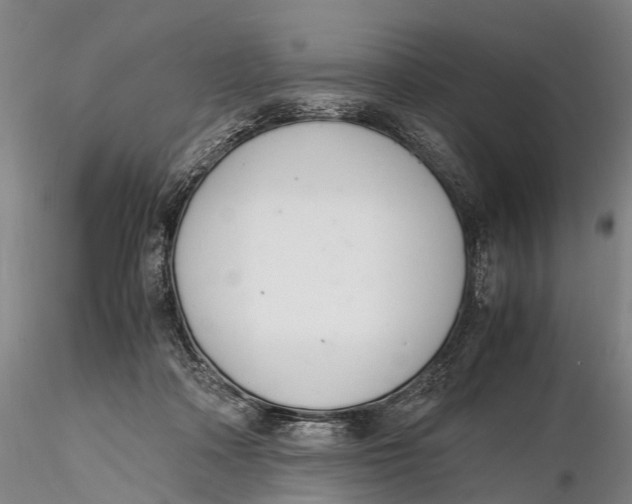 X0000116140314200912141139