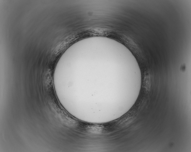 X0000116140318200912141139