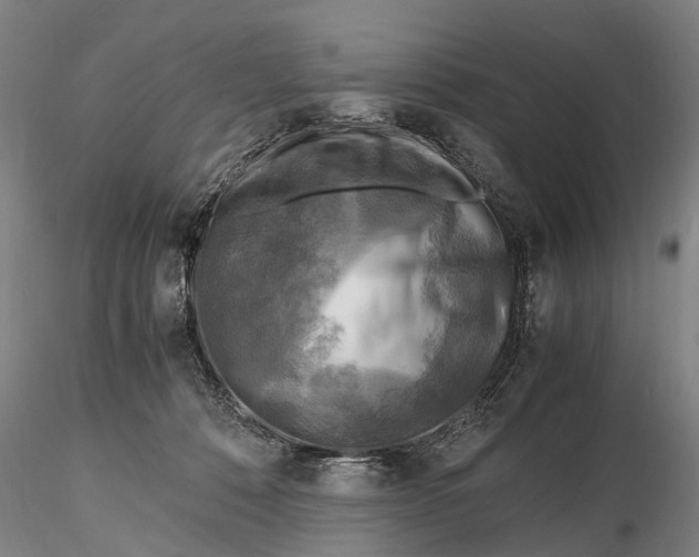 X0000116140320200912141139