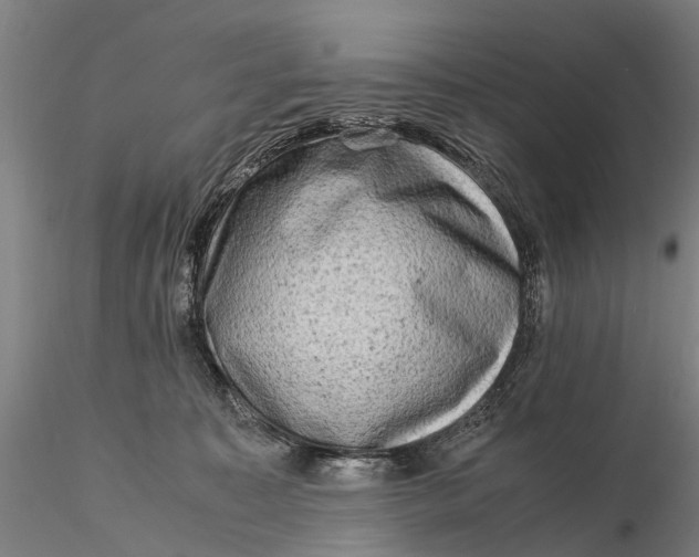 X0000116140323200912141139