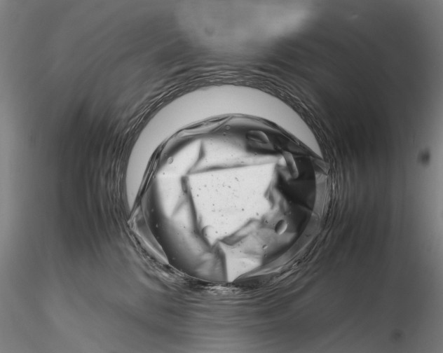 X0000116140328200912141139