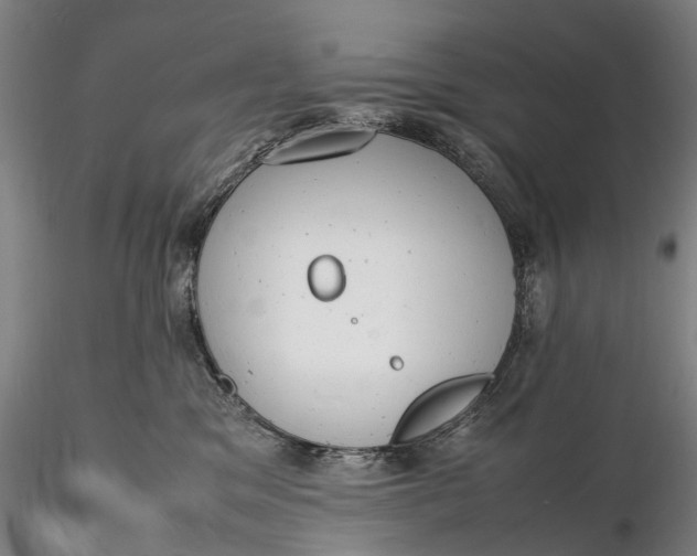 X0000116140329200912141139