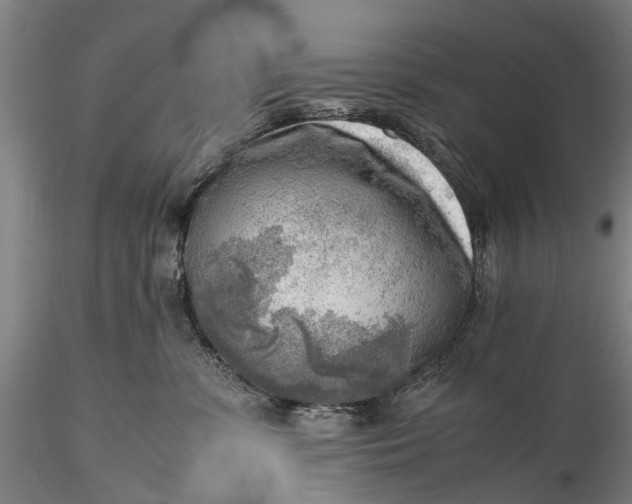 X0000116140331200912141139