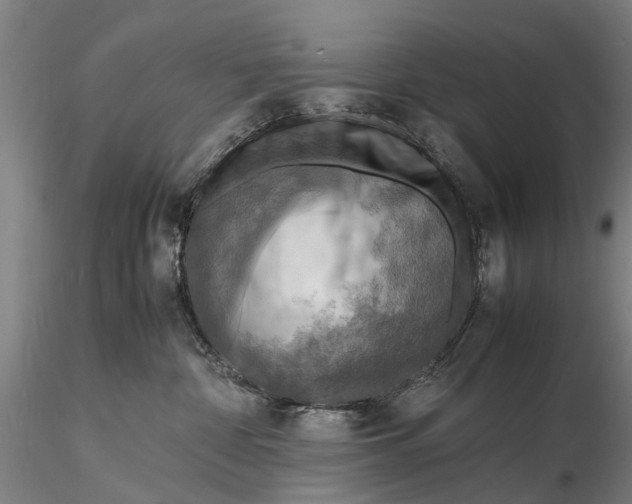 X0000116140332200912141139