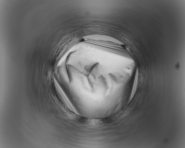 X0000116140333200912141139