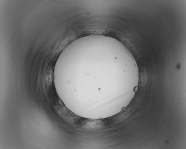 X0000116140334200912141139