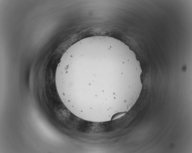 X0000116140335200912141139