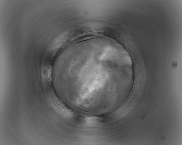 X0000116140336200912141139