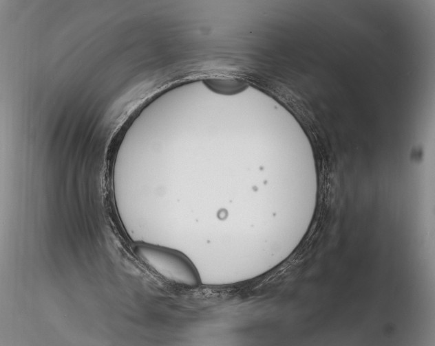 X0000116140338200912141138