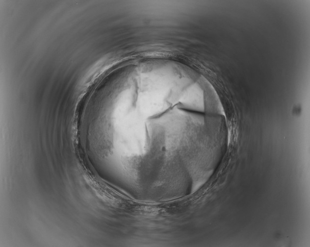 X0000116140339200912141138