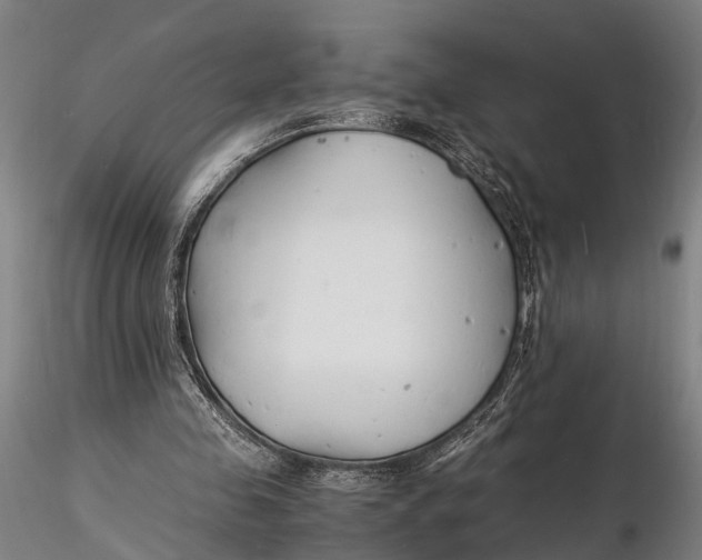 X0000116140341200912141138