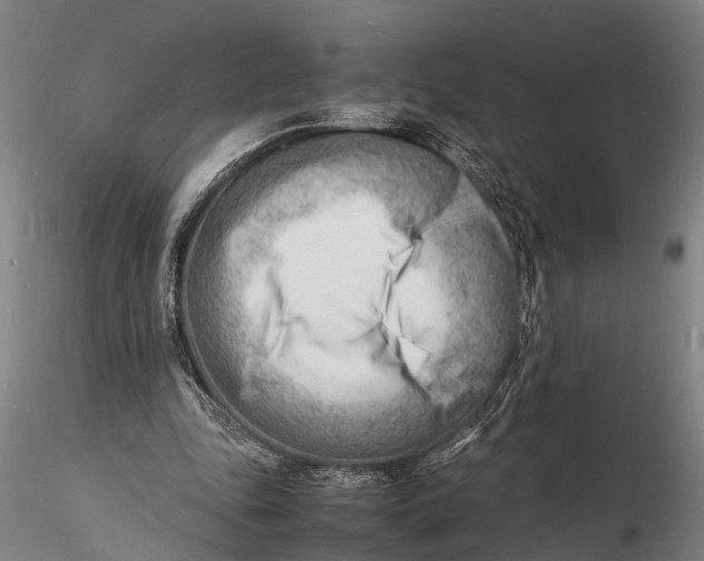 X0000116140343200912141138