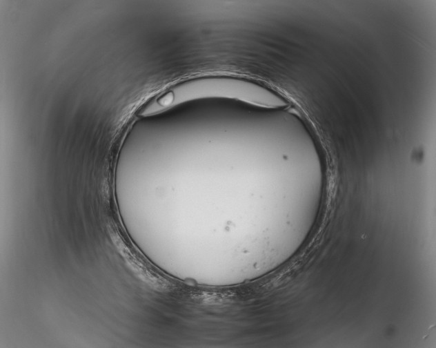 X0000116140345200912141138