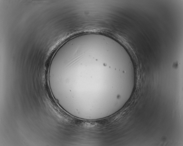 X0000116140346200912141138