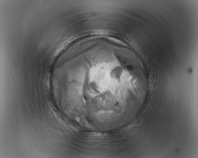 X0000116140347200912141138