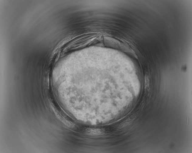 X0000116140349200912141138